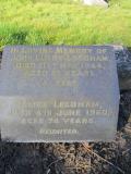 image of grave number 381164